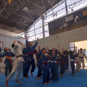 Judo3